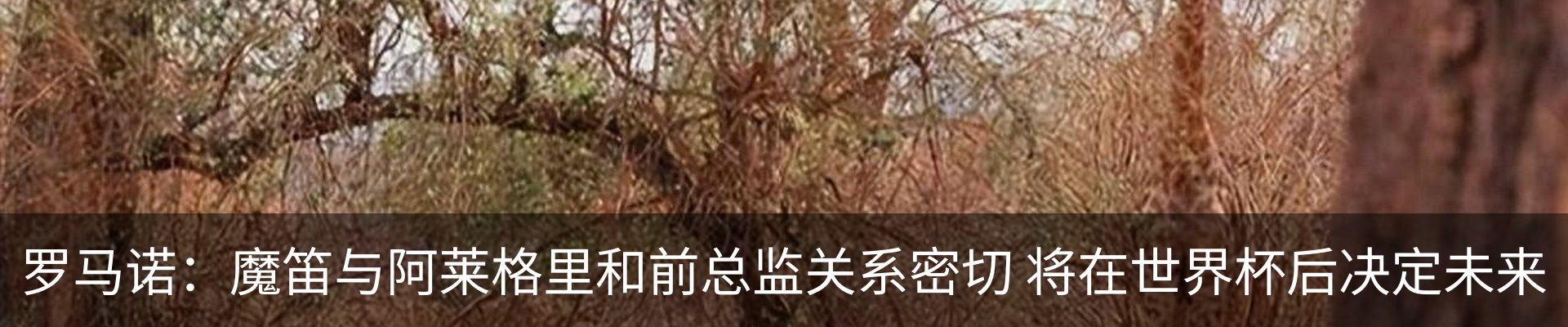 新闻动态