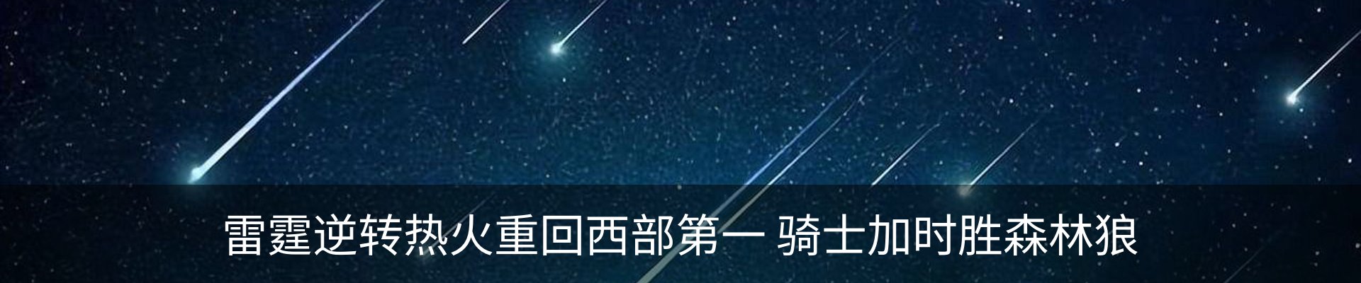 新闻动态